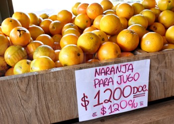 La naranja para jugo llegó a $1.200 la docena y la premium a $1.400 el kilo