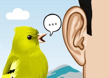 “Me lo contó un pajarito” y otros dichos con historia