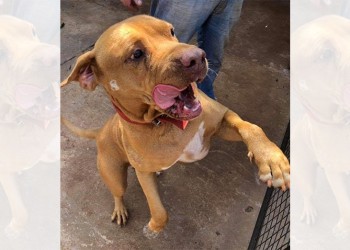 “Papo nos marcó a todos acá en Eldorado, era muy conocido”