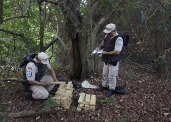 Secuestran más de 300 kilos de marihuana en Puerto Iguazú