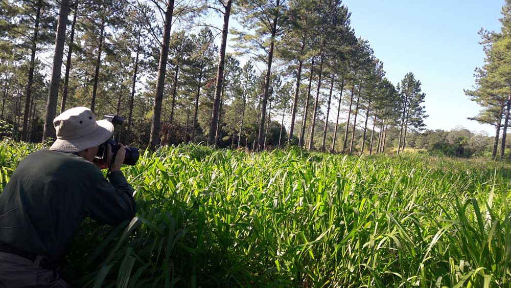 Las lluvias dan respiro a la producción pero las altas temperaturas asoman como un problema frecuente