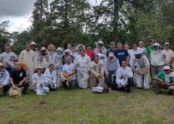 La miel misionera fue distinguida y  premiada en concurso internacional