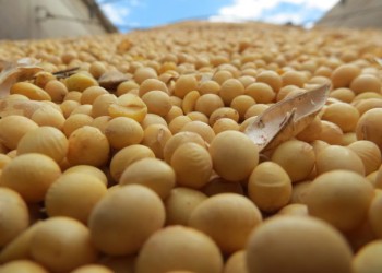 Un conflicto sindical paralizó los puertos del país en plena vigencia del “dólar agro”