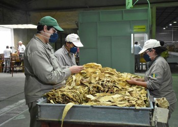 Tabacaleros piden reabrir precios para que el dólar a $300 llegue a todos