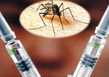 “La vacuna aprobada tiene una eficacia de más del 60% en casos de dengue leve y 81% en los graves”