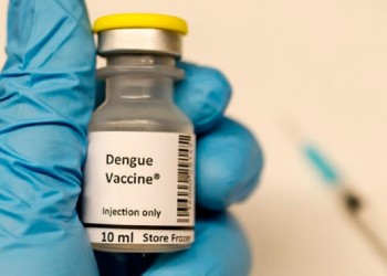 La ANMAT aprobó la vacuna japonesa contra el dengue