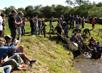 Apóstoles: cosecha y venta de peces en la previa de Semana Santa