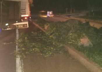 Camión perdió una rueda, volcó y desparramó raídos de yerba mate en la ruta 105