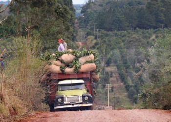 UATRE advierte por el “traslado inseguro” y “campamentos inhumanos” de peones