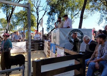 Muestra ganadera, exitoso remate y torneo hípico