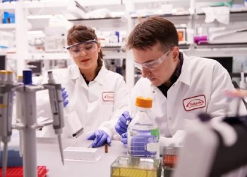 Vacuna contra el dengue: definen si será gratuita en las zonas de riesgo