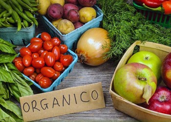 Producción orgánica: cómo es el proyecto que analiza el Congreso