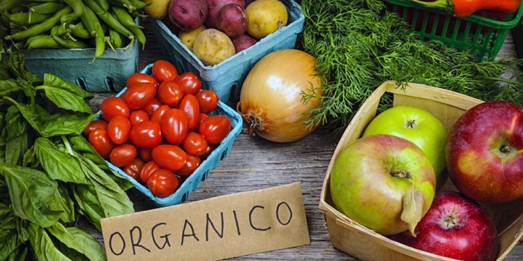 EN TRÁMITE. El proyecto tuvo avances aunque todavía resta debatir y luego bajarlo al recinto para su tratamiento.