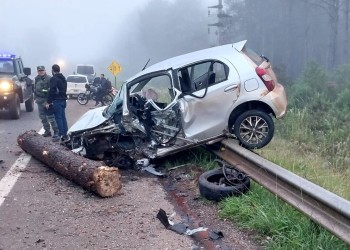 Camión perdió su carga de rollos de pino e impactó contra un auto: hay un herido