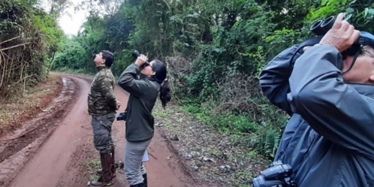 AVISTADORES. Para el Global Big Day, los avistadores del Campo San Juan se dividieron en grupos para abarcar distintas áreas y horarios.