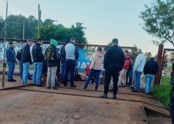 Salarios atrasados e incertidumbre: crece la crisis en la citrícola de Alem