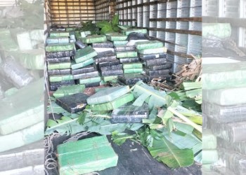 Ocho años de cárcel para camionero que cayó con 10 toneladas de droga