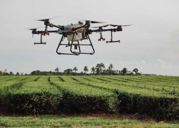 En Misiones se ensaya aplicación de biofertilizantes con drones