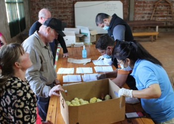 Llegaron los primeros pollos bebés para agricultores