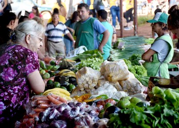 Preocupa a feriantes el retraso del frío porque afecta la producción de temporada