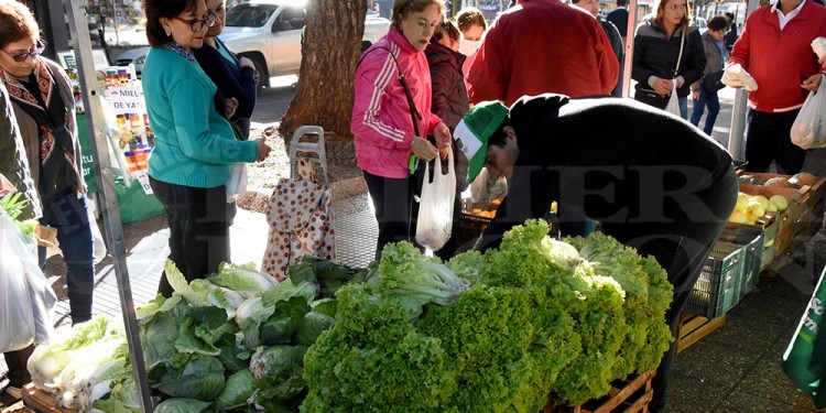 OFERTA DE HOJAS. El otoño-invierno, pese a la ausencia de frío y de abundantes lluvias, ayuda a los horticultores.