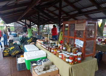 Feriantes de Oberá reclaman por los retrasos en pagos de tickets verdes