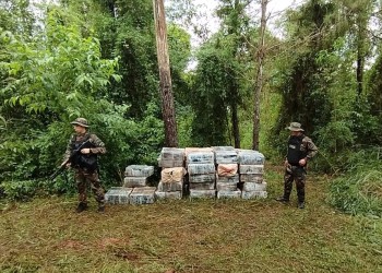 Secuestran casi una tonelada y media de marihuana en la costa misionera