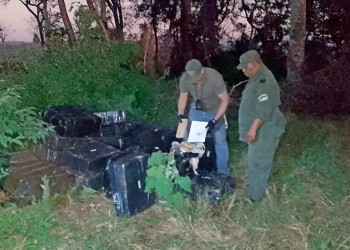 Hallaron más de una tonelada de marihuana entre la maleza