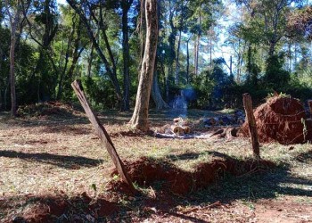 Comunidades mbya de San Ignacio protestarán por conflictos territoriales