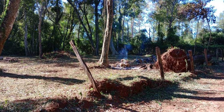 EN EL PREDIO. Las comunidades lamentaron la pérdida dentro de un territorio natural de importancia para los pueblos originarios de San Ignacio. Por ello, se movilizarán hoy para visibilizar la problemática en la provincia.
