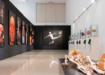 “El maravilloso mundo del cuerpo humano” en una mega muestra
