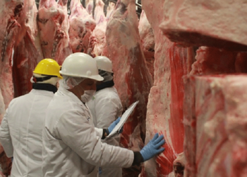 El precio de la carne en el mercado no subió en 2023