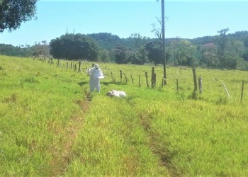 Autor del crimen de “Rudy” Weber abrevió el juicio y será condenado a prisión perpetua