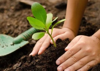 Invitan a capacitación sobre elaboración y uso de biopreparados en El Soberbio