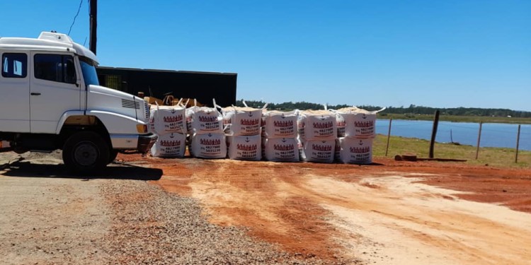 (Imagen ilustrativa)