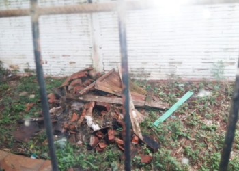 ¿Qué hacer ante terrenos que afectan el ambiente, la salud y la calidad de vida?