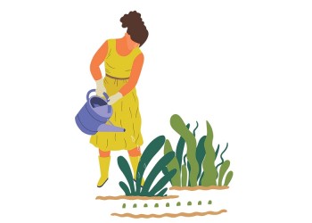 Acepta la vida tal cual es