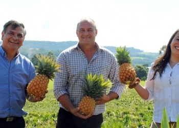 “Cali” Goring dijo que le ofrecieron “varias veces” pasar a la renovación