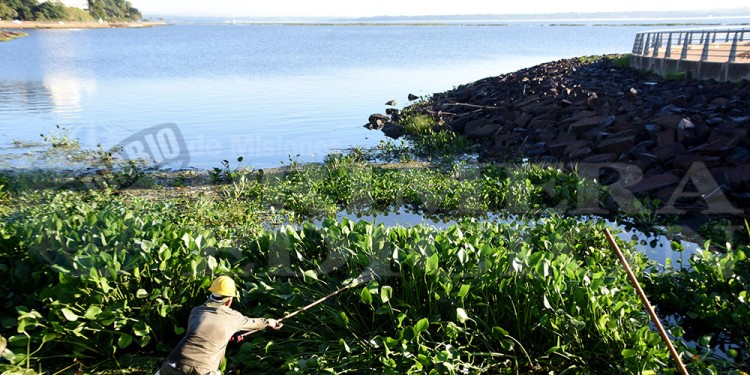AFUERA. Para evitar que se estacionen y fijen en la costa cercana a El Brete, el personal municipal ayer empezó a retirarlos de inmediato.