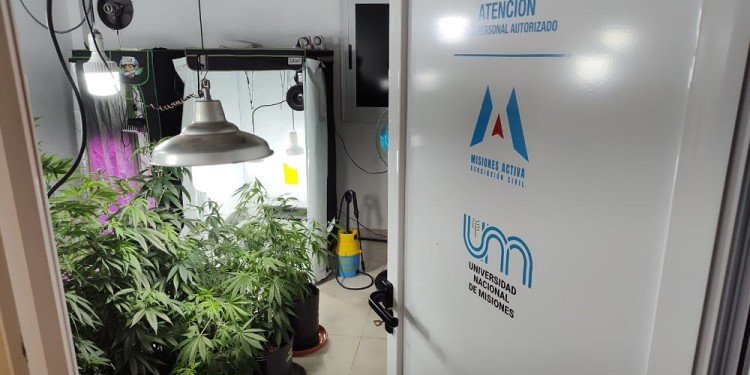 TRABAJO EN CONJUNTO. Es la primera vez que la Universidad trabaja mancomunadamente en un proyecto con una ONG.