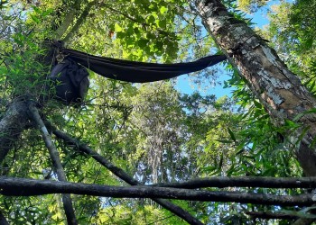 Cazador furtivo fue hallado sin vida con un balazo en el pecho