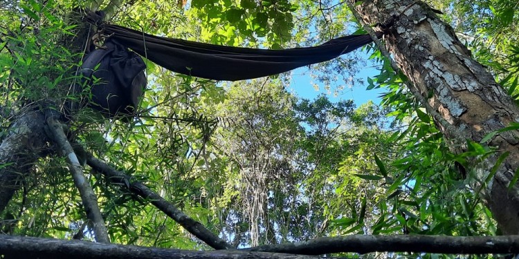 “SOBRADO”. Es una estructura sobre los árboles donde cazadores esperan a las presas. El cuerpo estaba debajo.