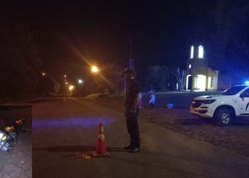 Chocó a un perro y terminó en el hospital