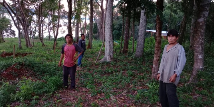 MBURUVICHAS. Los caciques (mburuvichas) adelantaron que continuarán la lucha por liberar ese territorio que está reconocido por el Instituto Nacional de Asuntos Indígenas (INAI).