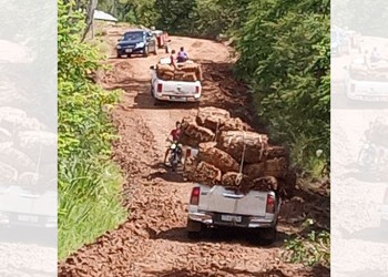 Tabaco: con 18,3 millones de kilos, el acopio de este año sería el más bajo de la historia