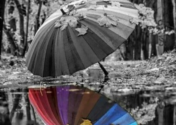 El color de la elección