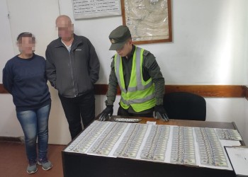 Decomisan más de 11 mil dólares sin aval que hallaron en un camión