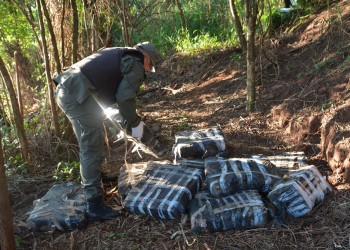 Incautaron carga de droga valuada en más de 75 millones de pesos