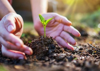 Educación ambiental: no se trata solo del cuidado de la naturaleza