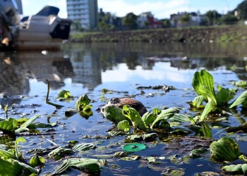 Materia fecal en El Brete: “Es una situación indignante, sentimos que nos están tomando el pelo”
